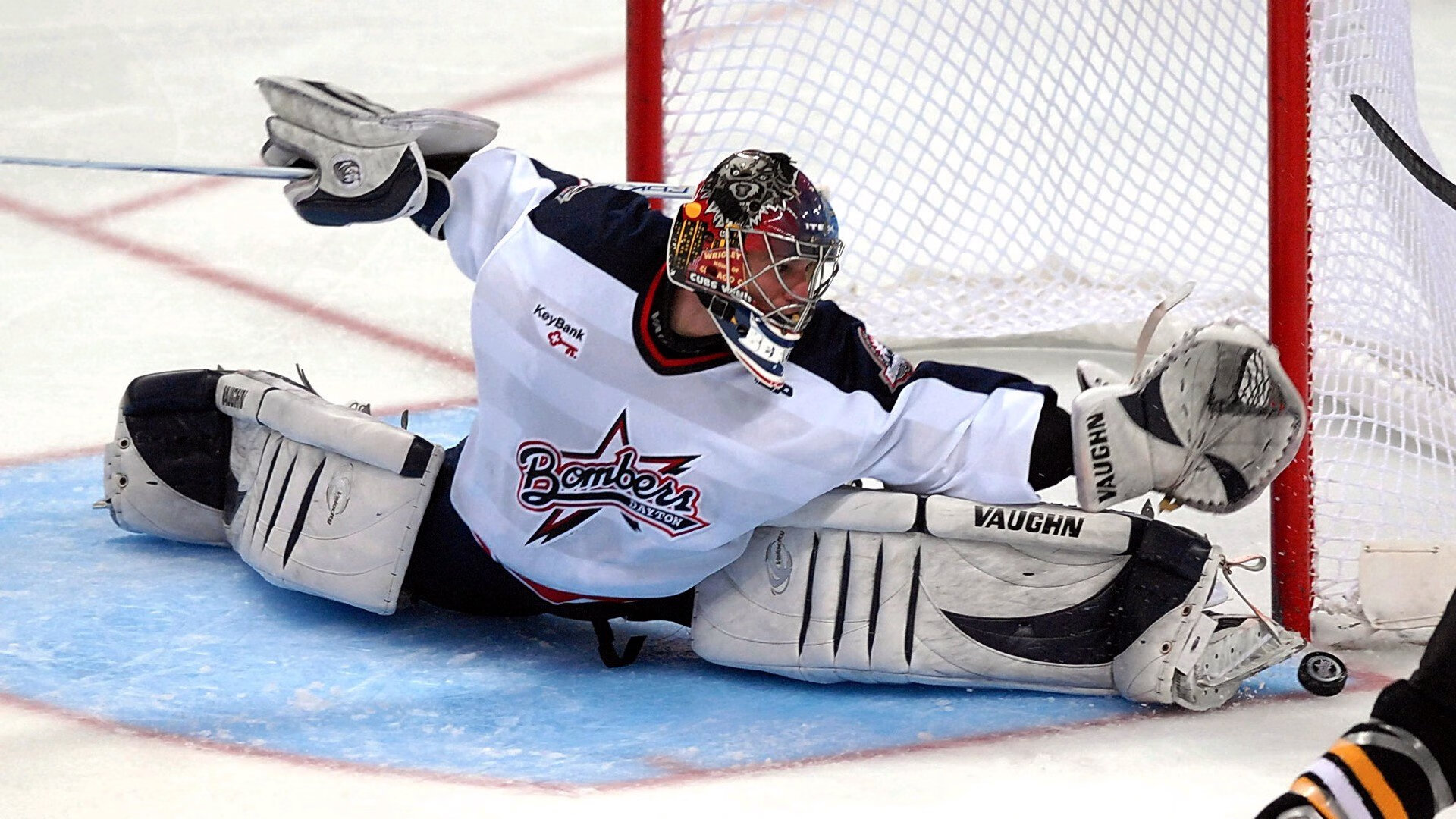 _鹈鹕实力提升,逐步逼近前列位置_,鹈鹕科普