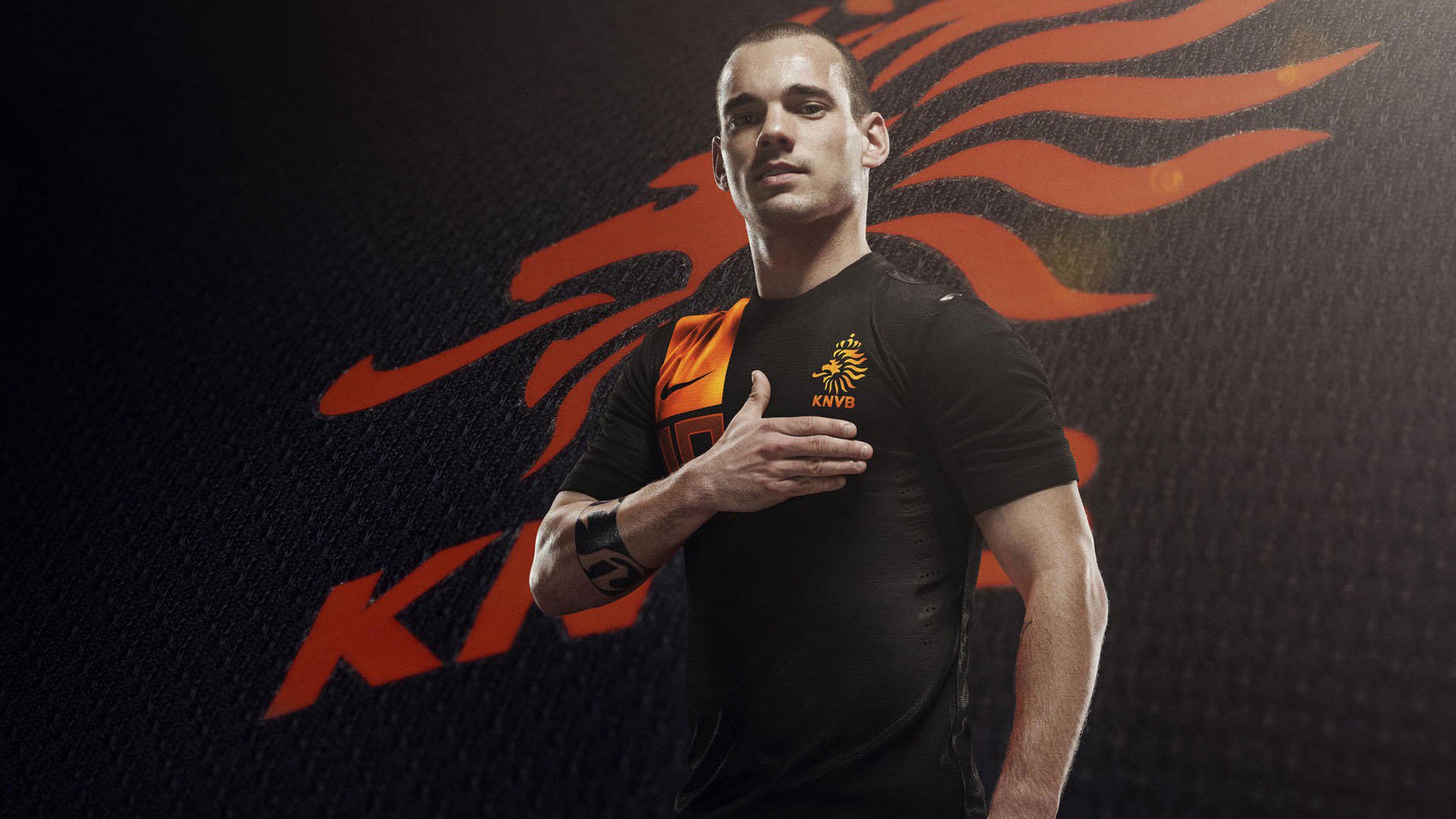 极端环境之战:高海拔、荒漠、冰雪的多重考验,极端环境生物